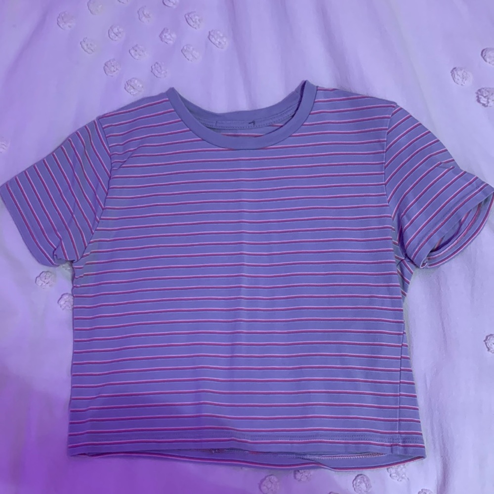 Brandy Melville Crop Top
